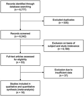 Comparison of Risk Factors, Safety, and Efficacy Outcomes of Mechanical Thrombectomy in Posterior vs. Anterior Circulation Large Vessel Occlusion
